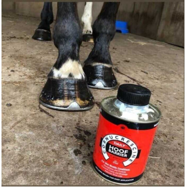 Óleo para cascos Carr & Day & Martin Daily Hoof Barrier Cornucrescine Óleo para cascos Carr & Day & Martin Daily Hoof Barrier Cornucrescine