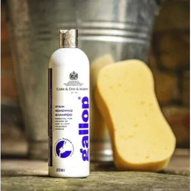 Shampoo removedor de manchas Gallop® Carr & Day & Martin