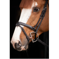 Birdon Oxford Performance Pénélope Preto