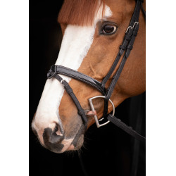 Birdon Oxford Performance Pénélope Preto Birdon Oxford Performance Pénélope Preto