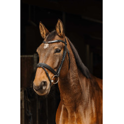 Bridon Norton Pro Galon Preto