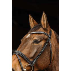 Bridon Norton Pro Galon Preto