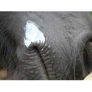 Baume Animaderm Natjely Baume Animaderm Natjely