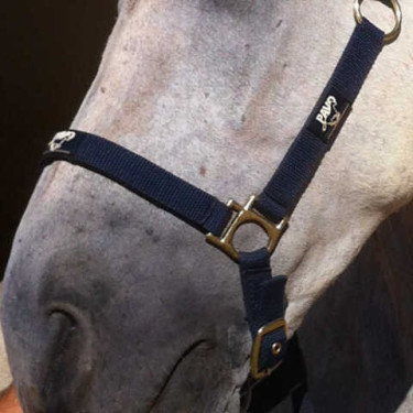 Regenerador Animaderm Cutene Regenerador Animaderm Cutene