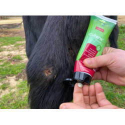 Regenerador Animaderm Cutene Regenerador Animaderm Cutene