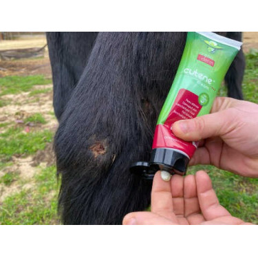 Regenerador Animaderm Cutene Regenerador Animaderm Cutene