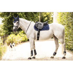 Selim Lami-Cell Luxin Azul-marinho