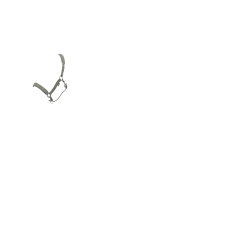 Licol LeMieux Essence Alecrim Verde Licol LeMieux Essence Alecrim Verde