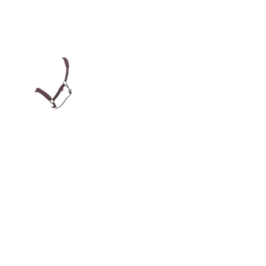 Licol LeMieux Essence Ameixa escura Violeta