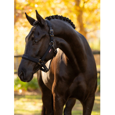 Licol LeMieux Essence Preto