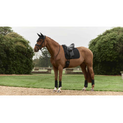 Tapis de dressage LeMieux Essence Square Preto