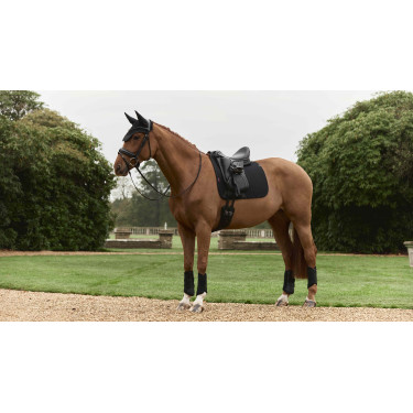 Tapis de dressage LeMieux Essence Square Preto