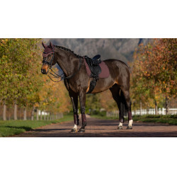 Tapis de dressage LeMieux Essence Square Ameixa escura Violeta Tapis de dressage LeMieux Essence Square Ameixa escura Violeta