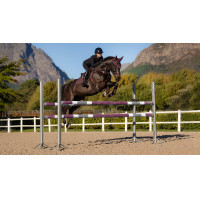 Tapis Eurojump LeMieux Essence Square Ameixa escura Violeta