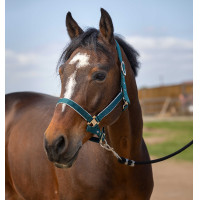 Caveção Equithème Nylon light Verde escuro