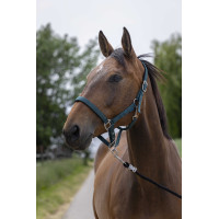 Caveção Norton Satine Preto