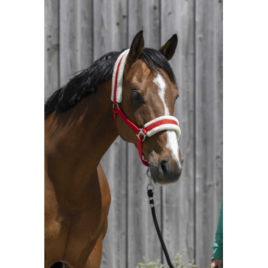 Cabeçada Riding World com lã sintética Vermelho Cabeçada Riding World com lã sintética Vermelho