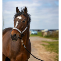 Caveção Equithème Nylon Check Preto / castanho Caveção Equithème Nylon Check Preto / castanho