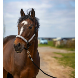 Caveção Equithème Nylon Check Preto / castanho