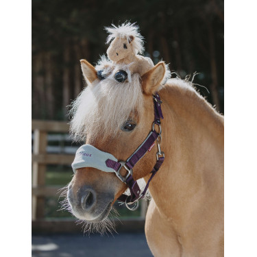 Tiny Pony LeMieux Harlow Nublado Tiny Pony LeMieux Harlow Nublado