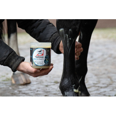 Gel refrescante Leovet Cellsius Gel refrescante Leovet Cellsius