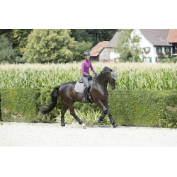 Touca anti-mosca LeMieux Signature Cinzento