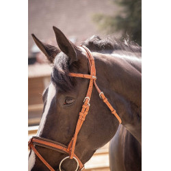 Bridão Pénélope Elegância Conhaque Castanho