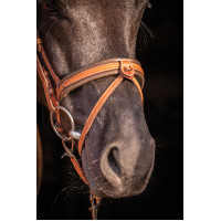 Bridão Pénélope Elegância Conhaque Castanho