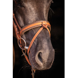 Bridão Pénélope Elegância Conhaque Castanho