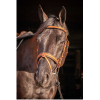 Bridão Pénélope Elegância Conhaque Castanho