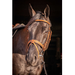 Bridão Pénélope Elegância Conhaque Castanho