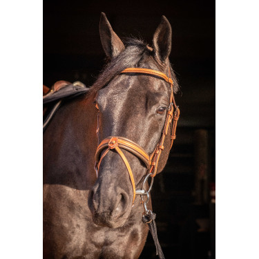 Bridão Pénélope Elegância Conhaque Castanho