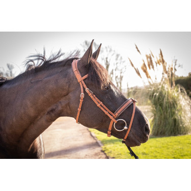 Bridão Pénélope Elegância Conhaque Castanho