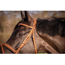 Bridão Pénélope Elegância Conhaque Castanho