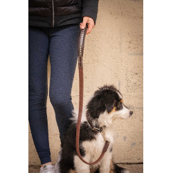 Deixa cão Pénélope Rubber Havana Castanho