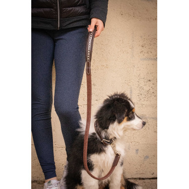 Deixa cão Pénélope Rubber Havana Castanho