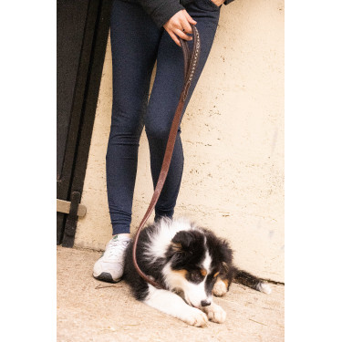 Deixa cão Pénélope Rubber Havana Castanho