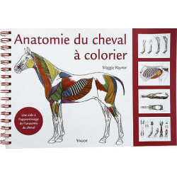 Anatomia do cavalo para colorir Anatomia do cavalo para colorir