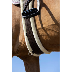 Cinta elástica Norton Smooth Castanho Cinta elástica Norton Smooth Castanho