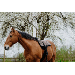 Almofada de montar sem sela Norton Kiowa Almofada de montar sem sela Norton Kiowa