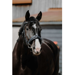 Caveção largo Norton Preto Caveção largo Norton Preto