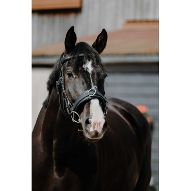 Caveção largo Norton Preto Caveção largo Norton Preto