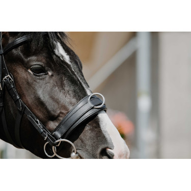 Caveção largo Norton Preto Caveção largo Norton Preto