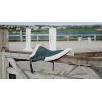 Amortecedor Equithème Pro air Preto Amortecedor Equithème Pro air Preto