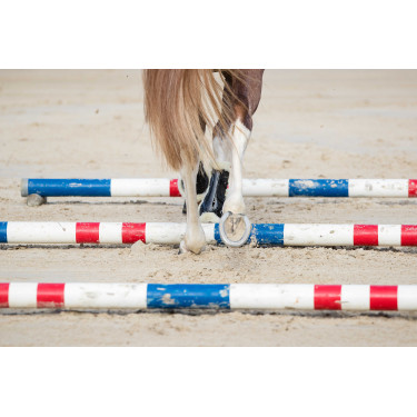 Guêtres Norton XTR com botões e lã sintética Azul-marinho Guêtres Norton XTR com botões e lã sintética Azul-marinho