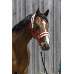 Cabeçada Riding World com lã sintética Vermelho Cabeçada Riding World com lã sintética Vermelho