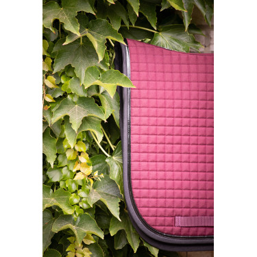 Tapete Paddock Sports Americano adestramento Tapete Paddock Sports Americano adestramento