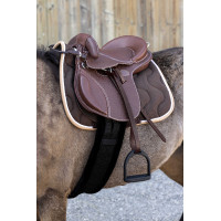 Sela bardette Guy Cantin Evolution educativa Havana Castanho Sela bardette Guy Cantin Evolution educativa Havana Castanho