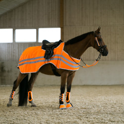 Sino Horze fluorescente Sino Horze fluorescente