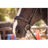 Bridon Pénélope Smoothie Havana Castanho